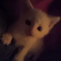 リア充なるまで帰れません‼️