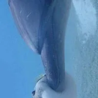 隣欲しい❓❓ ハントしまくれ ⁉️⁉️ 全緩なり ❣️❣️ 😆