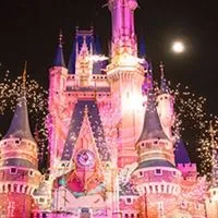 ディズニーダンオタオプチャ