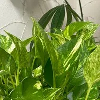 髪・心・身体が喜ぶ美容時間＆学びのオプチャ