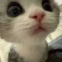 ゲーム雑談‼️