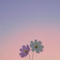 一匁の勇気を携えて ＊ 全緩ハント