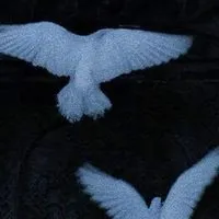 壊れた世界から始まる世界＠表禁止全夢ハント