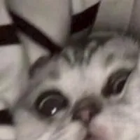 【中高大生限定】夜暇してる人きて