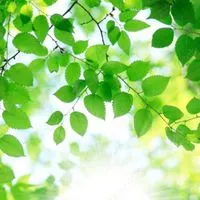 🌕【おはなし、しよう☺️】ゆっくりお悩み不安相談室🌕