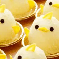 🐤ひよこ🐤初~中級🐤みんなが答える韓国語