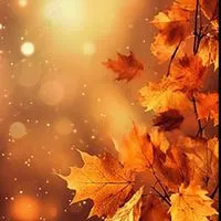 🌕【おはなし、しよう☺️】ゆっくりお悩み不安相談室🌕