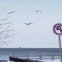 歌お‼️雑談しよ‼️