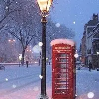 雪が綺麗と笑うのは　❄︎.*　全緩夢ハント