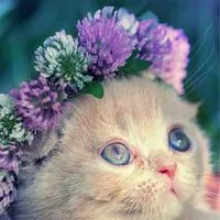 ✨📸写真✨動画✨どんどこどい📸✨