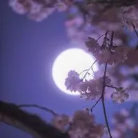 ♡全也：千年の恋も冷めちゃうわ。