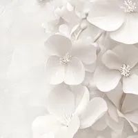 白紙の記録　- t t g 緩也 -