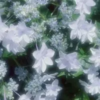 ︎ ︎ずっと好きだった　、 ︎ ︎