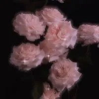 泣いた数だけスキってコト。 BSD緩也 ハント