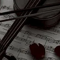 折＿薔薇🥀𓈒𓂂𓇬