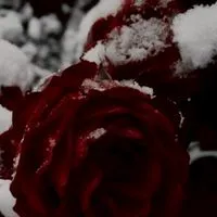 絶対安全ドラッグ : 旧戦争屋緩也ハント