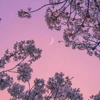 再建‼️緩也はんと 〜〜 ‼️