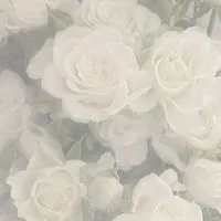 貴方の傍では　。