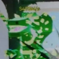 Fortnite版ブレインロット（配布あり）