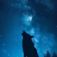 人狼ゲームオプ🐺