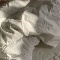 Ｈｕｎｔ：全也