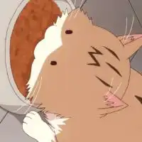 アニメ好きの部屋