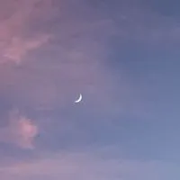 さあ僕の手を取って ＊ 全緩夢ハント