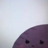 ヤキイモ手法