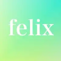 felixグループ 副業・在宅ワーク・資金調達