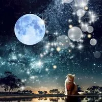 好きな音楽共有🎵🍇