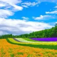 【埼玉】🍀雑談&カラオケ・歌好き待機所☘️
