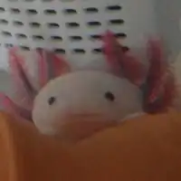 🦐三重カラオケ仲間🤗🎤