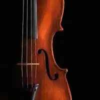 Violin 相談室