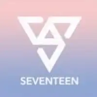 SEVENTEEN💎ヌナCARAT