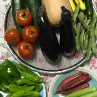 家庭菜園研究会
