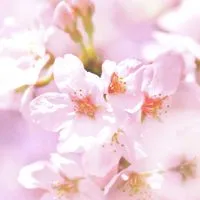 【栃木県/宇都宮市】*͛雑談部屋 ͙͛