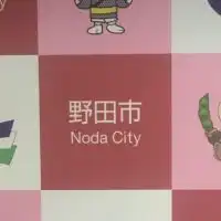 野田市