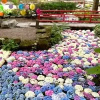 🌳【つぶやき部屋】ベネマダム御用達ウィメンズパーク仲間