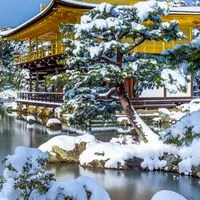 旅するお父さんと楽しい仲間の憩いの部屋。👻