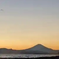湘南湾フグ研究会
