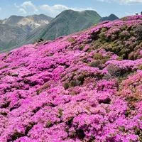 九州の登山仲間募集！