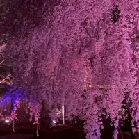大阪泉州の仲間達