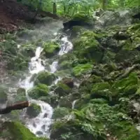 水と土地と自然農法