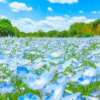 🐈宮城県大崎市 愉快な仲間たち🐾