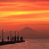 【館山・南房総】情報共有