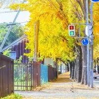 🐈宮城県大崎市 愉快な仲間たち🐾