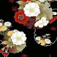 光の森🌳🍃〜迷ったらおいで( ᐛ )و⚐ﾞｶﾓﾝﾇ(未成年不可)セリカ間違った退会帰って来て