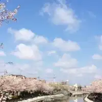 江戸川区ママ、あつまれ！！