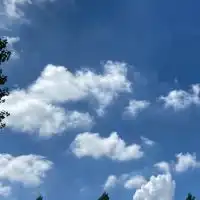 離婚