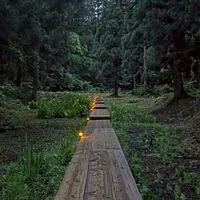 TODAY YUZAWA 🌿 ローカルと湯沢愛あるみんなで越後湯沢観光の相談に乗ります